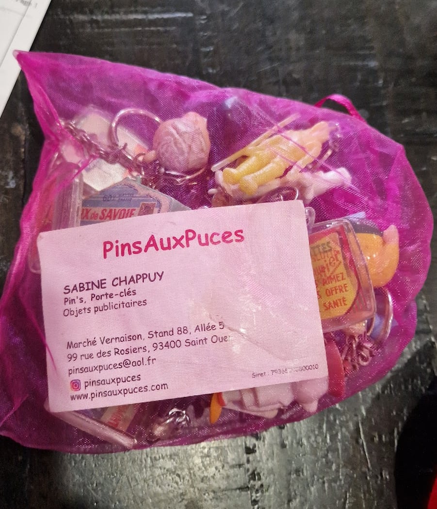 PinsAuxPuces 2